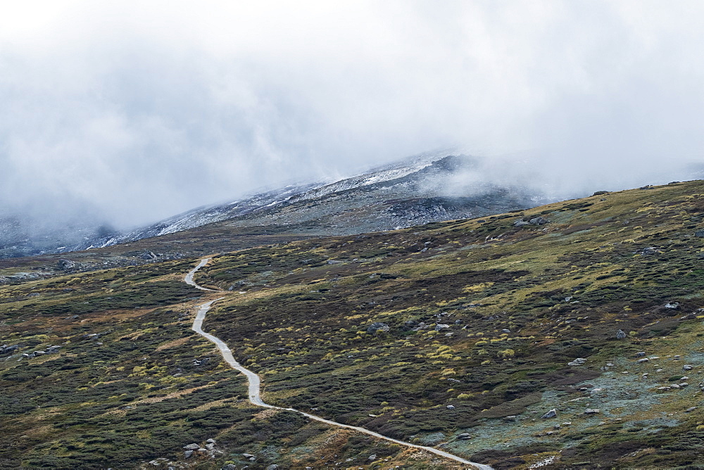 Australia, New South Wales, Hiking trail in mountains at Charlotte Pass in Kosciuszko National Park