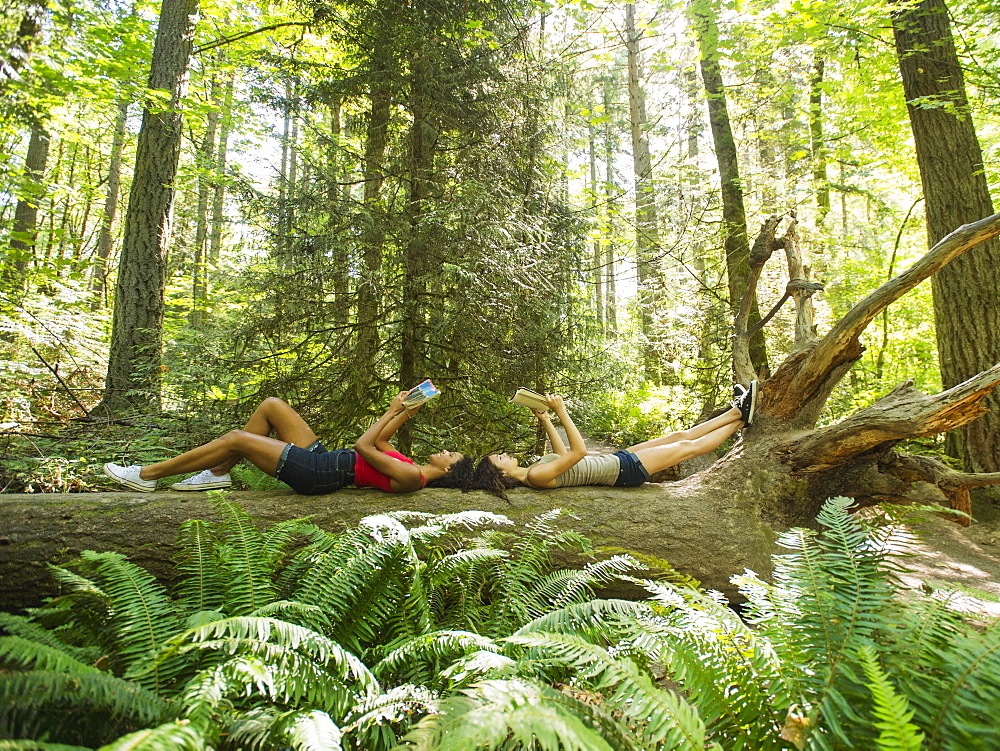 Young women reading book on log in forest, USA, Oregon, Portland