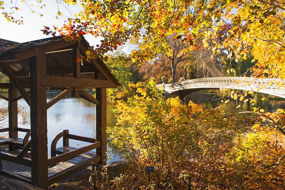 Footbridge over lake in Central Park, USA, New York State, New York City