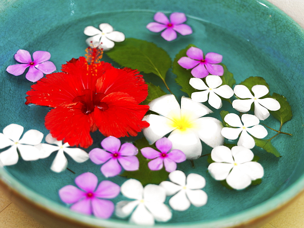 Bowl with floating flower heads