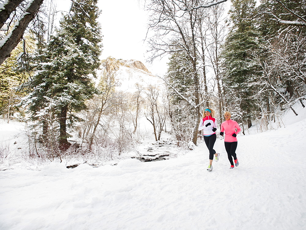 Two women jogging in winter forest, Salt Lake City, Utah USA