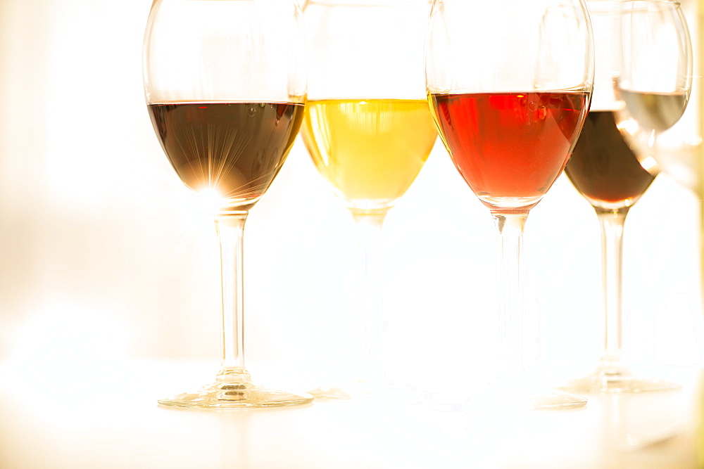 Studio shot of wine lasses of assorted wines