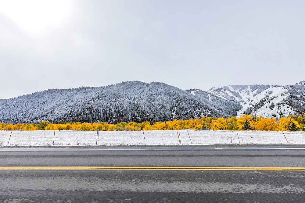 USA, Idaho, Ketchum, Fall foliage along highway near Sun Valley