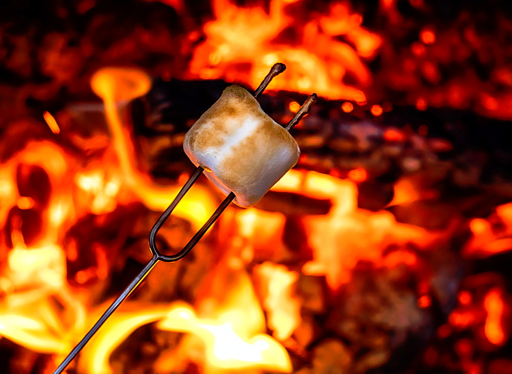Close-up?of?marshmallow?at bonfire