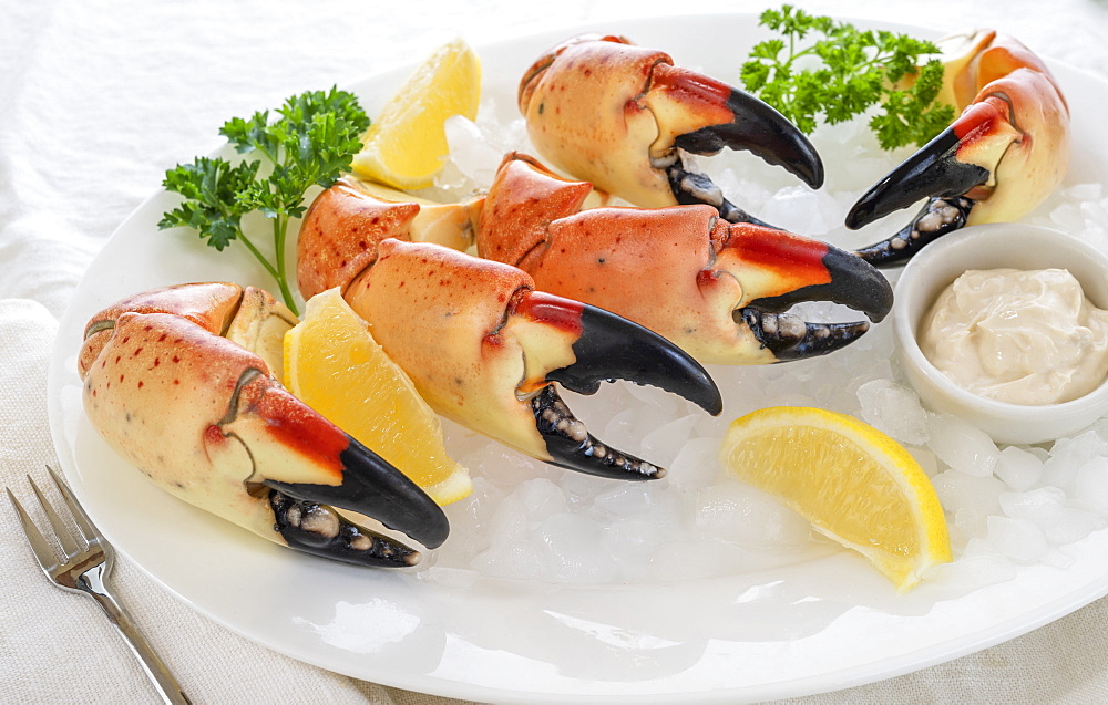 Plate of stone crab claws over ice with lemon and sauce