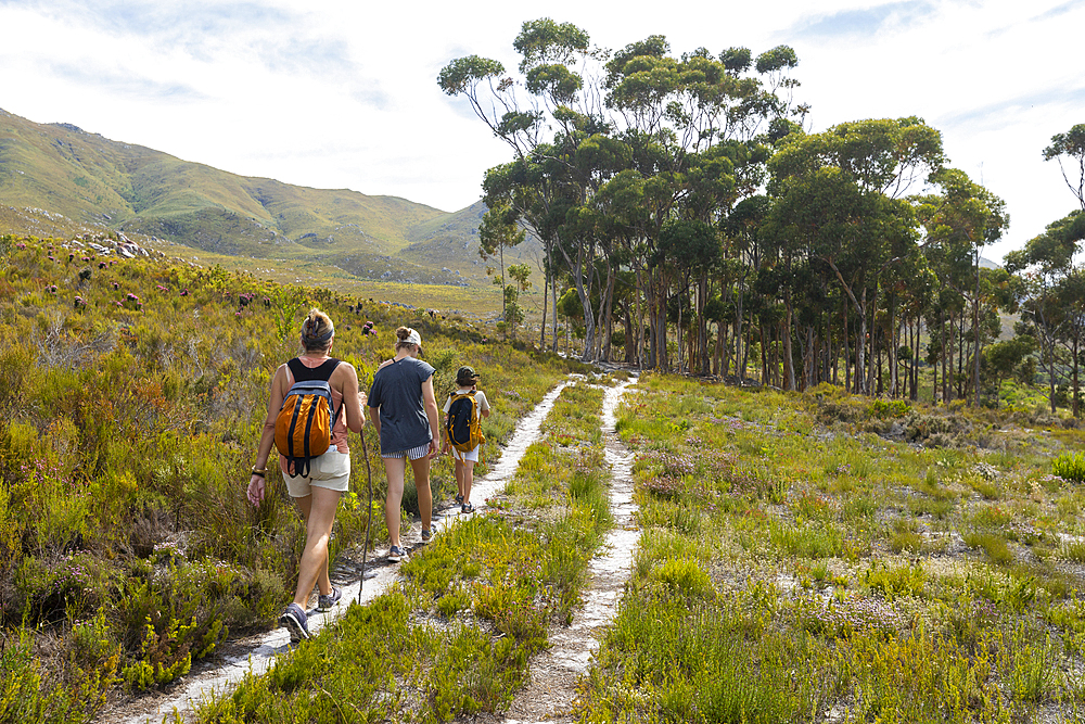 South Africa, Stanford, Woman with girl (16-17) and boy (8-9) hiking in Phillipskop Nature Reserve