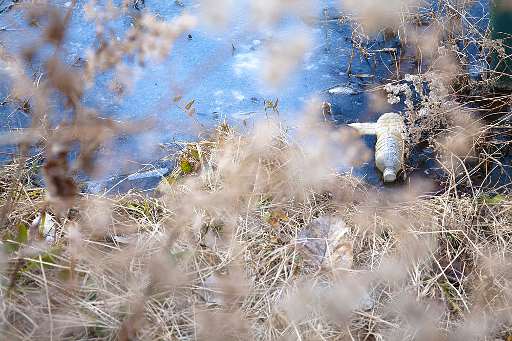 Litter by stream bank