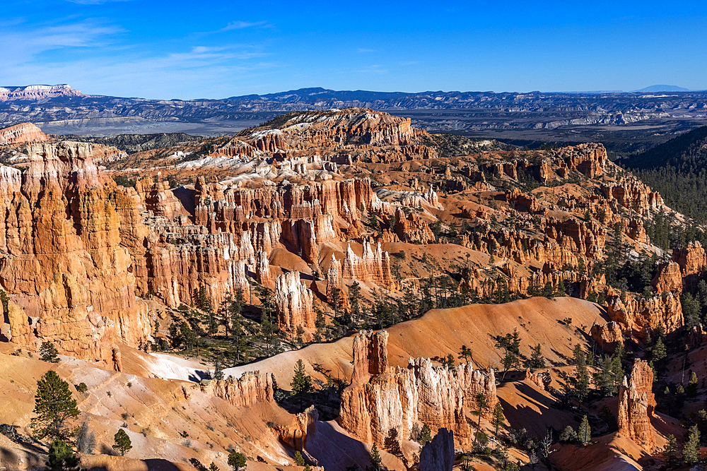 United States, Utah, Bryce Canyon National Park, Hoodoo rock formations in canyon