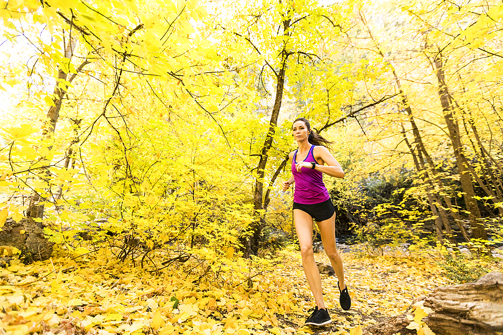 Woman jogging in Autumn forest