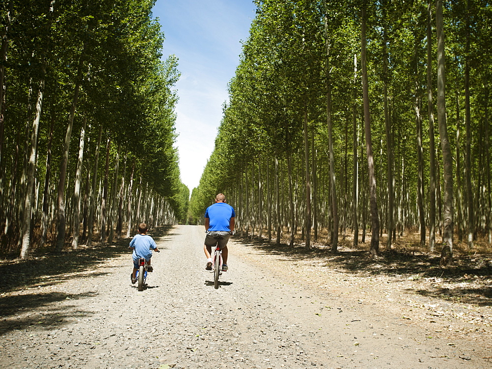 Father with son (8-9) cycling up country road