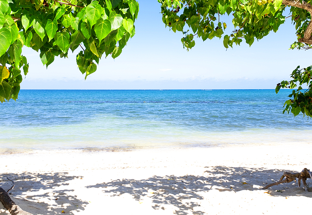 Calm sea and sandy beach with green leaves in foreground