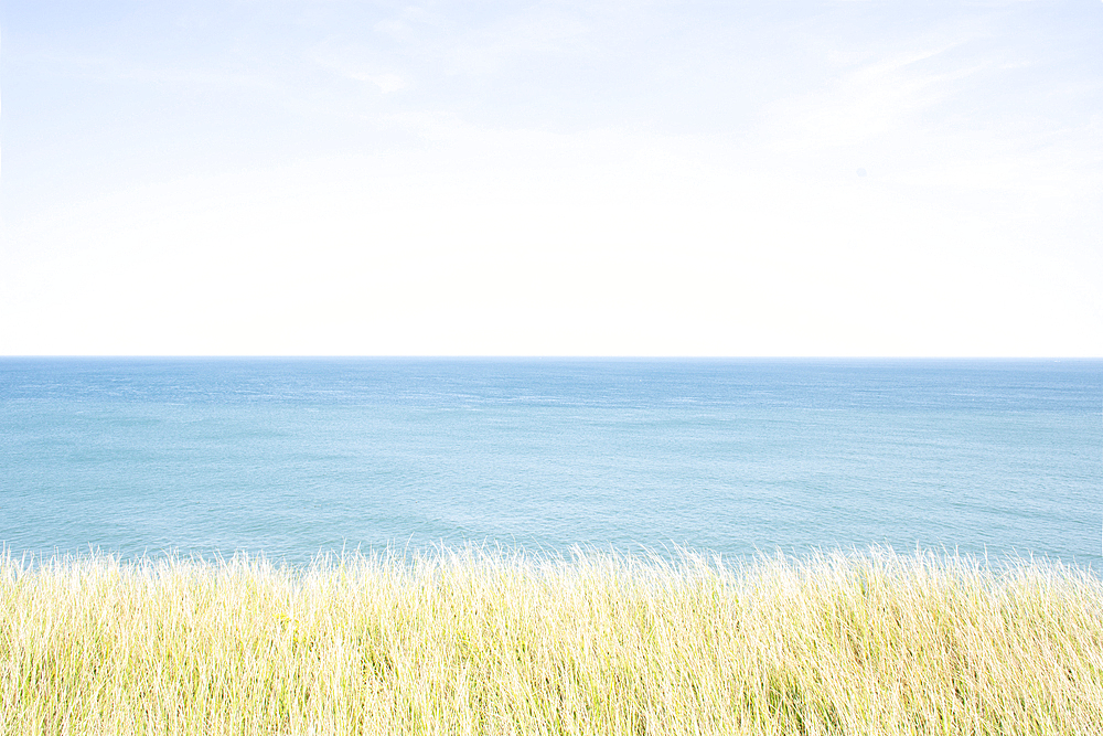 Marram grass and calm Atlantic Ocean