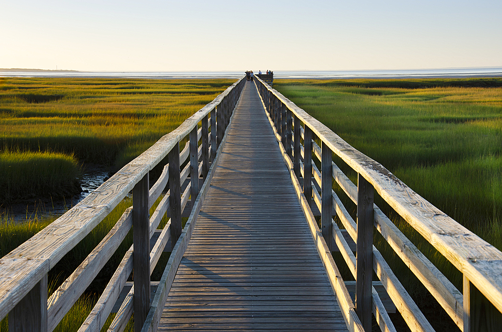 Empty boardwalk at Grays Beach