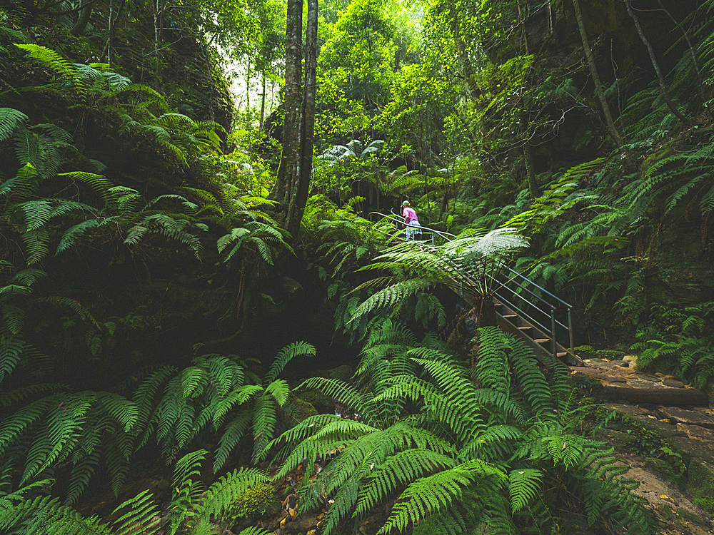 Woman walking on steps in tropical forest