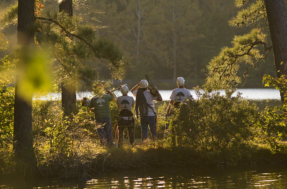 Four construction workers by a lake with tools