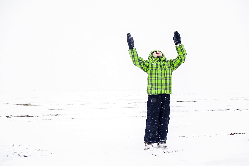 Boy (4-5) with raised arms in snowy landscape, Colorado, USA