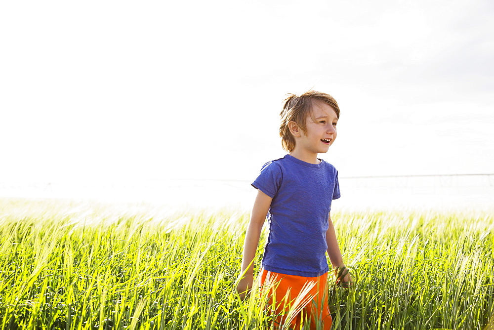 Boy (4-5) standing in grass and looking away, Colorado, USA