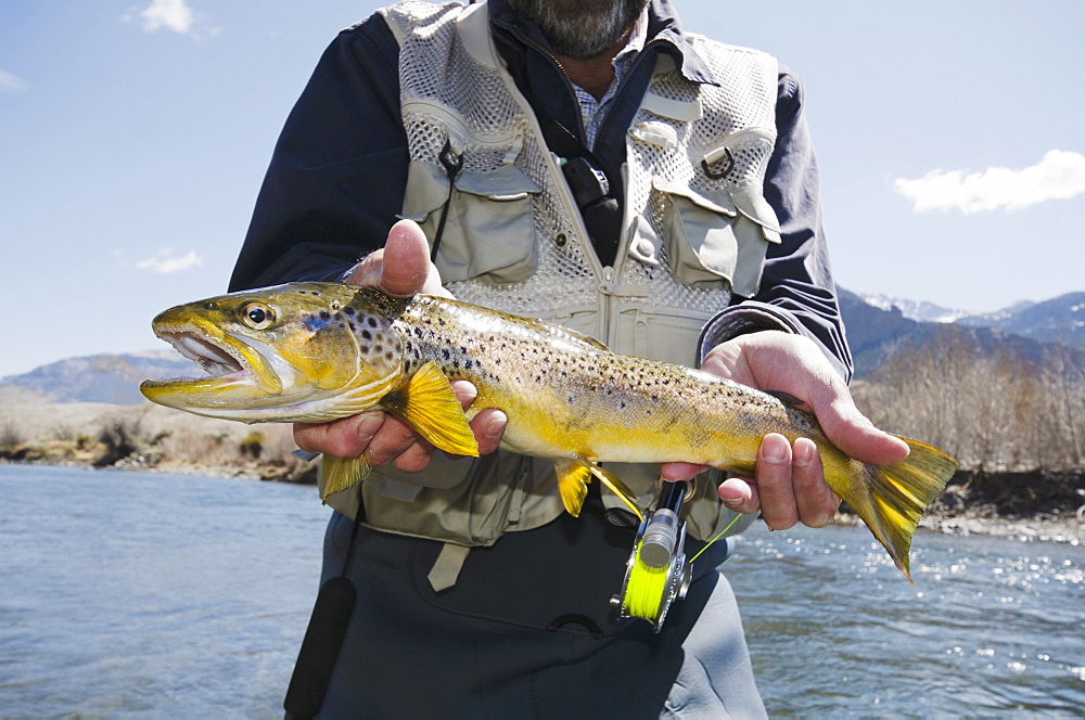 Man holding trout, USA, Wyoming