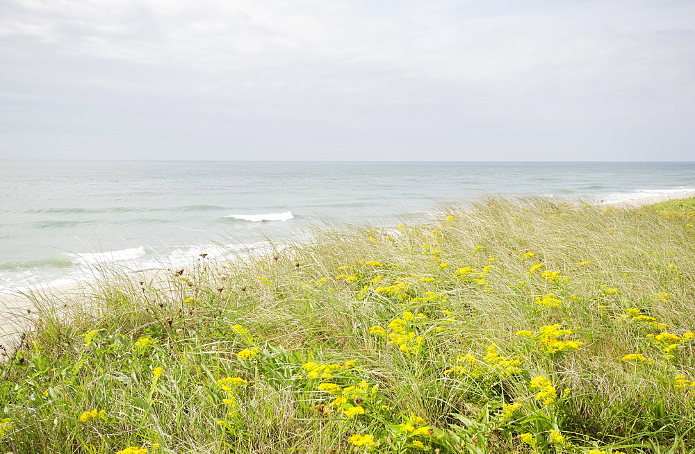 View of sandy beach, Nantucket Island, Massachusetts
