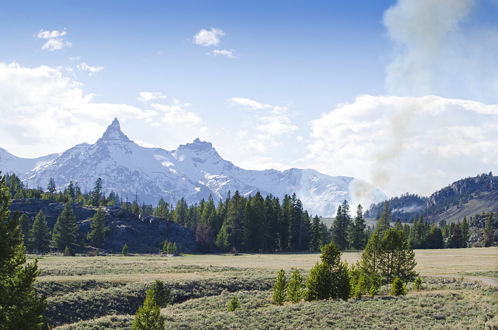 Forest with smoke, Wyoming, USA