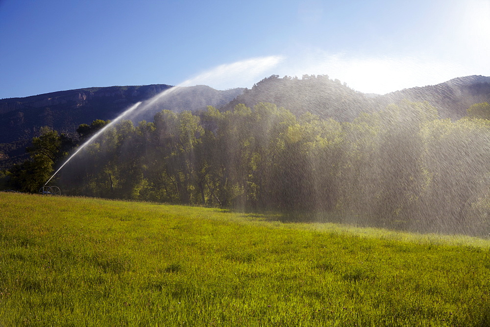 Agricultural sprinkler watering field, Colorado, United States