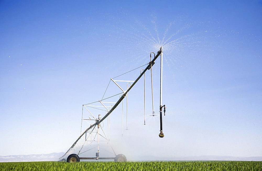 Sprinkler watering barley field, Colorado, USA