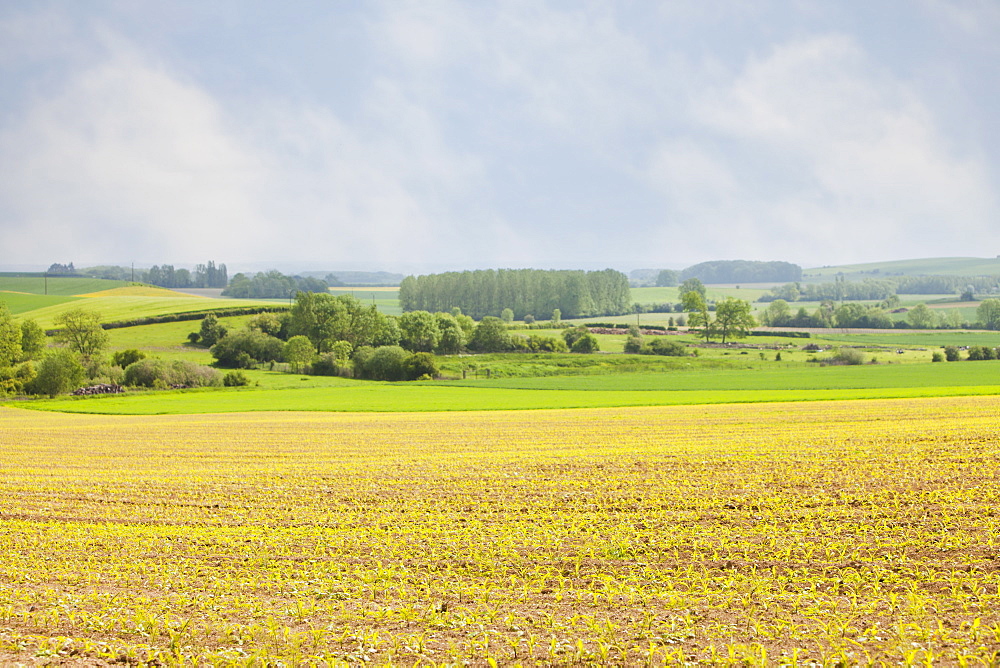 France, Rocroi, Rural landscape, France, Rocroi