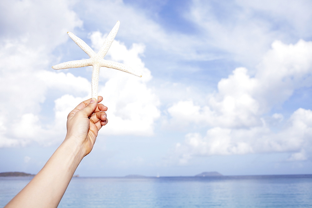 United States Virgin Islands, St. John, Starfish held by female hand, United States Virgin Islands, St. John