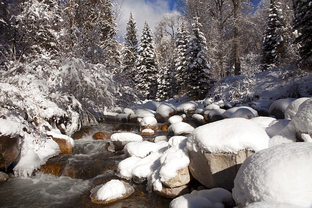 USA, Colorado, Winter landscape