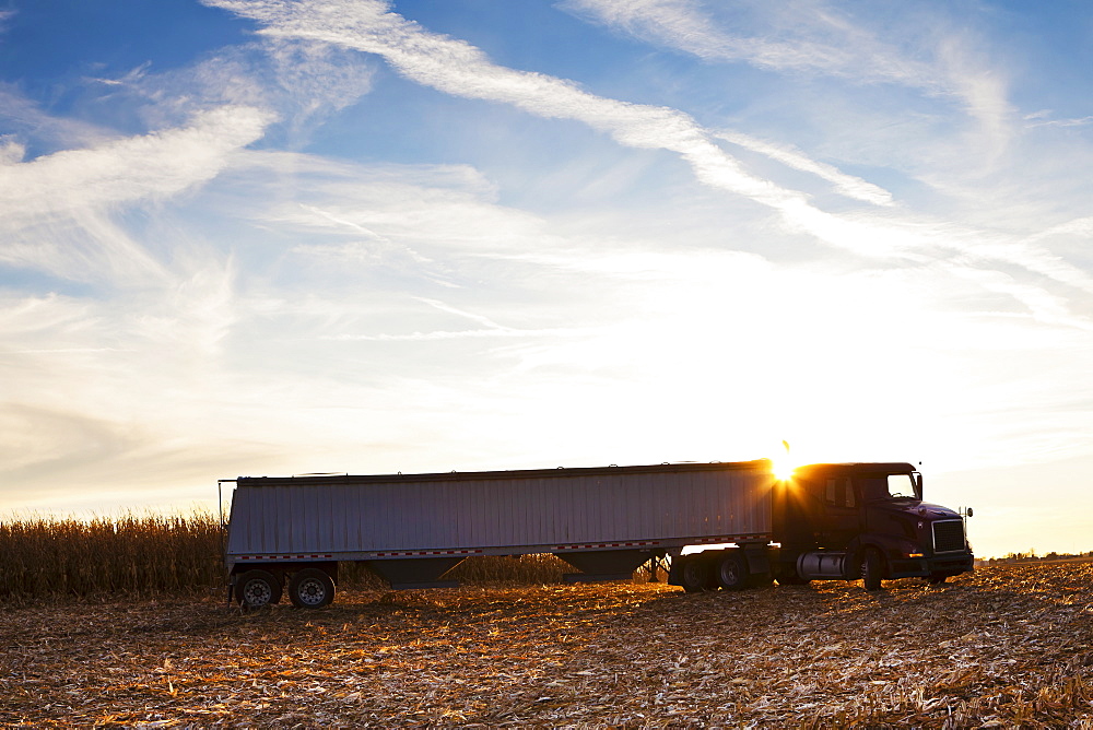 USA, Iowa, Latimer, Truck on harvested field 