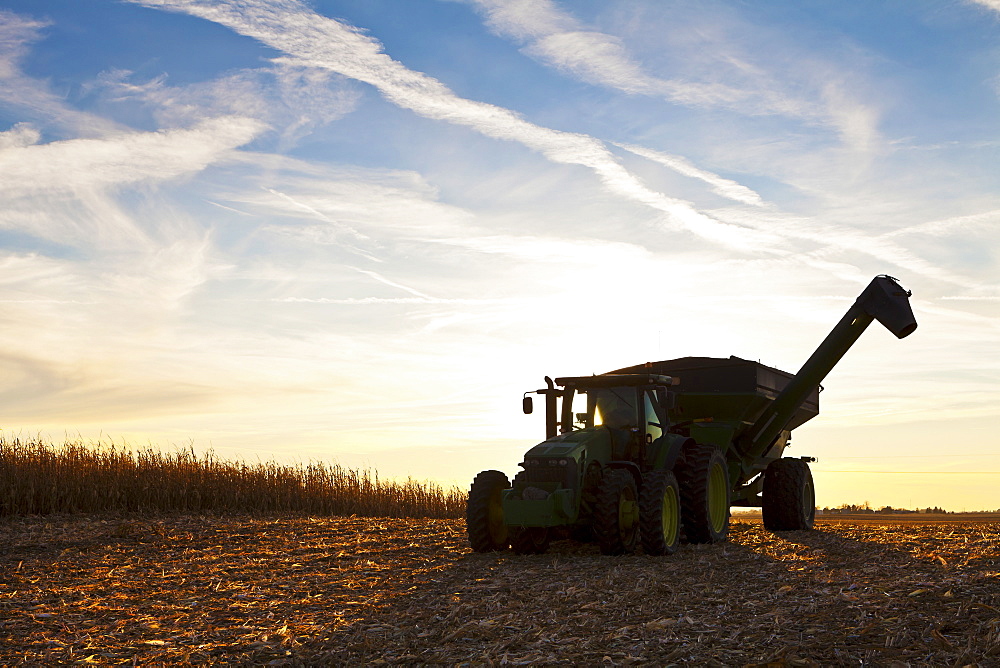 USA, Iowa, Latimer, Combine harvester harvesting corn