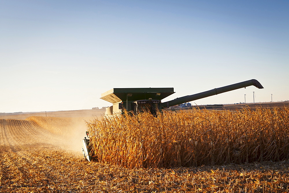 USA, Iowa, Latimer, Combine harvester harvesting corn