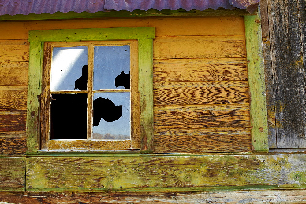 USA, Colorado, Abandoned log cabin with broken window