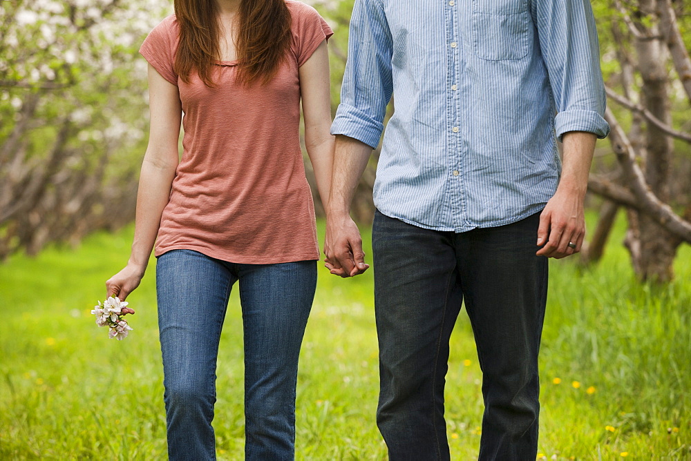 USA, Utah, Provo, Young couple walking through orchard