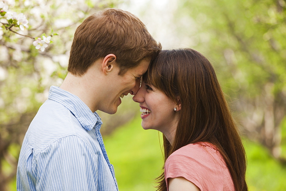 USA, Utah, Provo, Young couple face to face in orchard