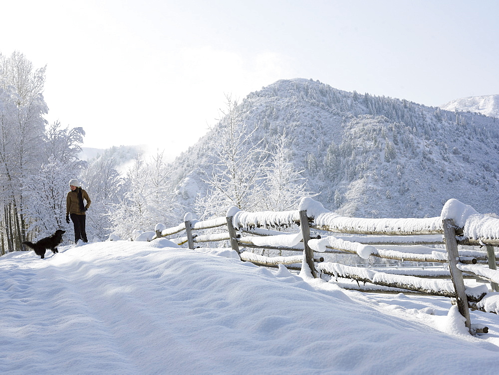 USA, Colorado, woman and dog in snowy ranch