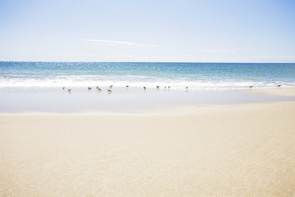 USA, Massachusetts, Empty beach 
