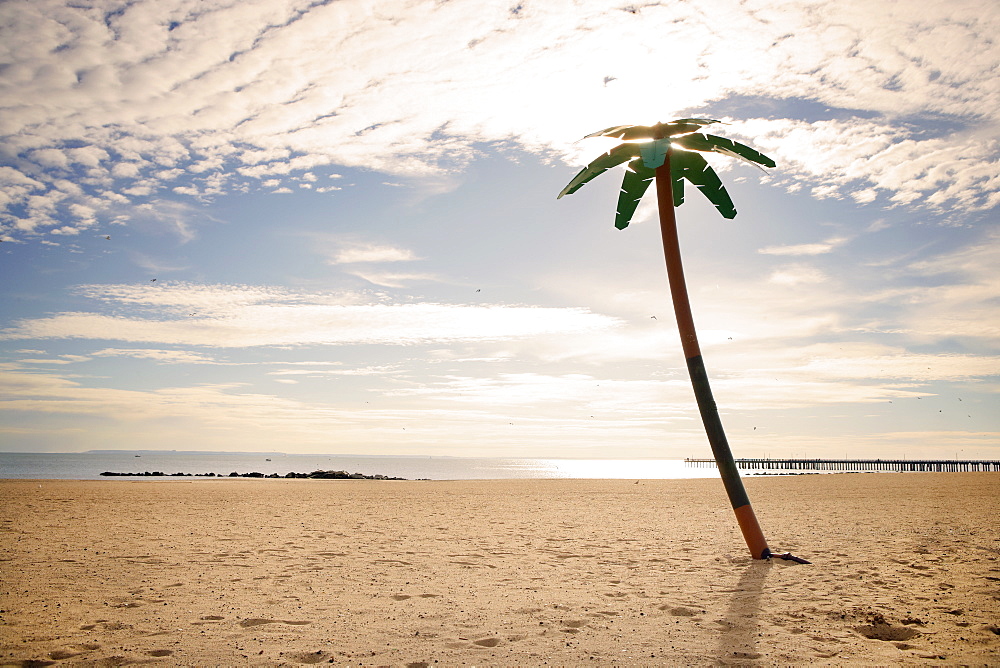 USA, New York City, Coney Island, palm tree on beach