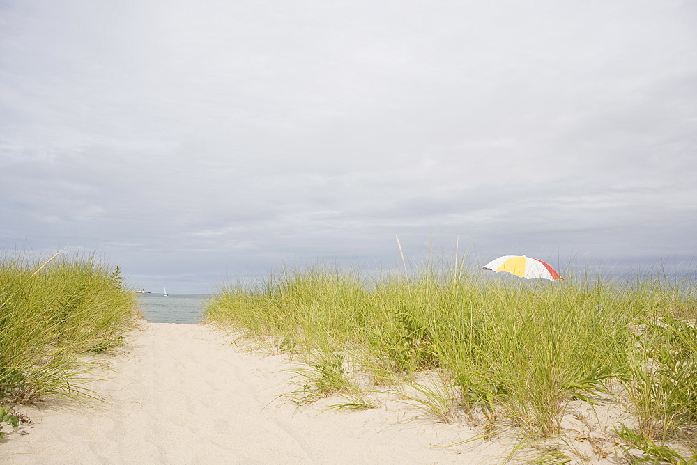 USA, Massachusetts, beach umbrella among Marram grass on beach