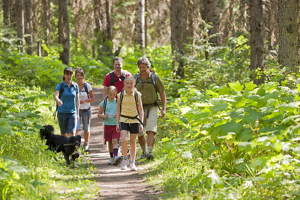 Canada, British Columbia, Fernie, family and dog hiking in forest