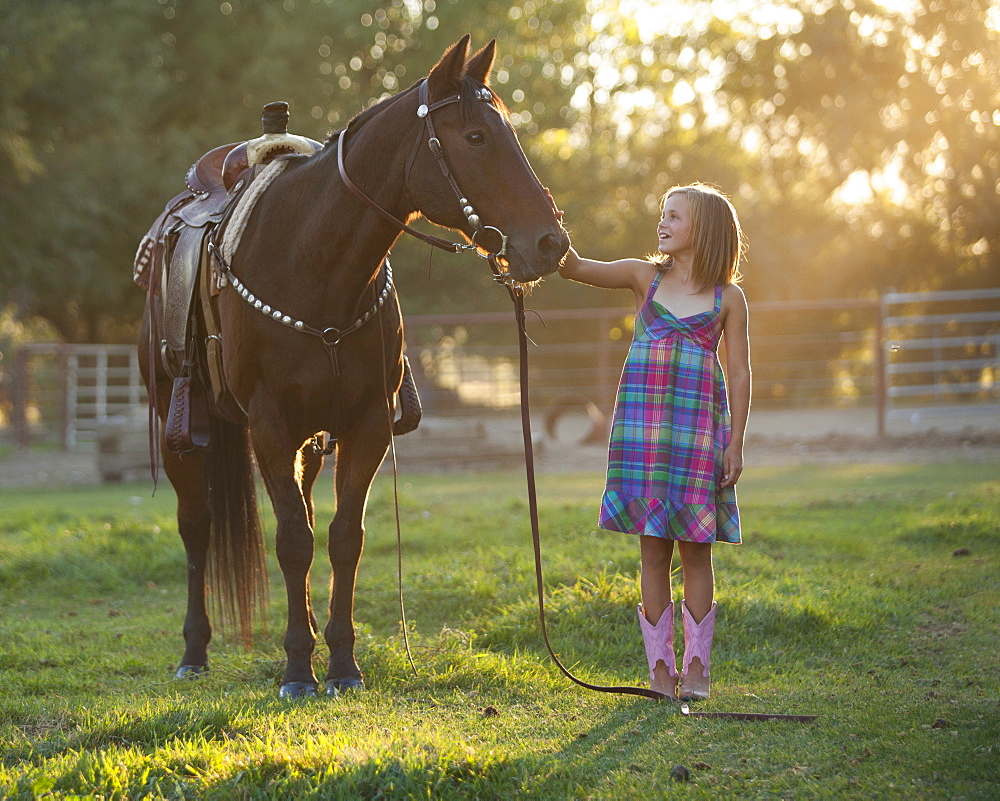 Girl (8-9) stroking horse in paddock