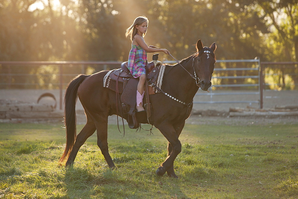 Girl (8-9) riding horse in paddock