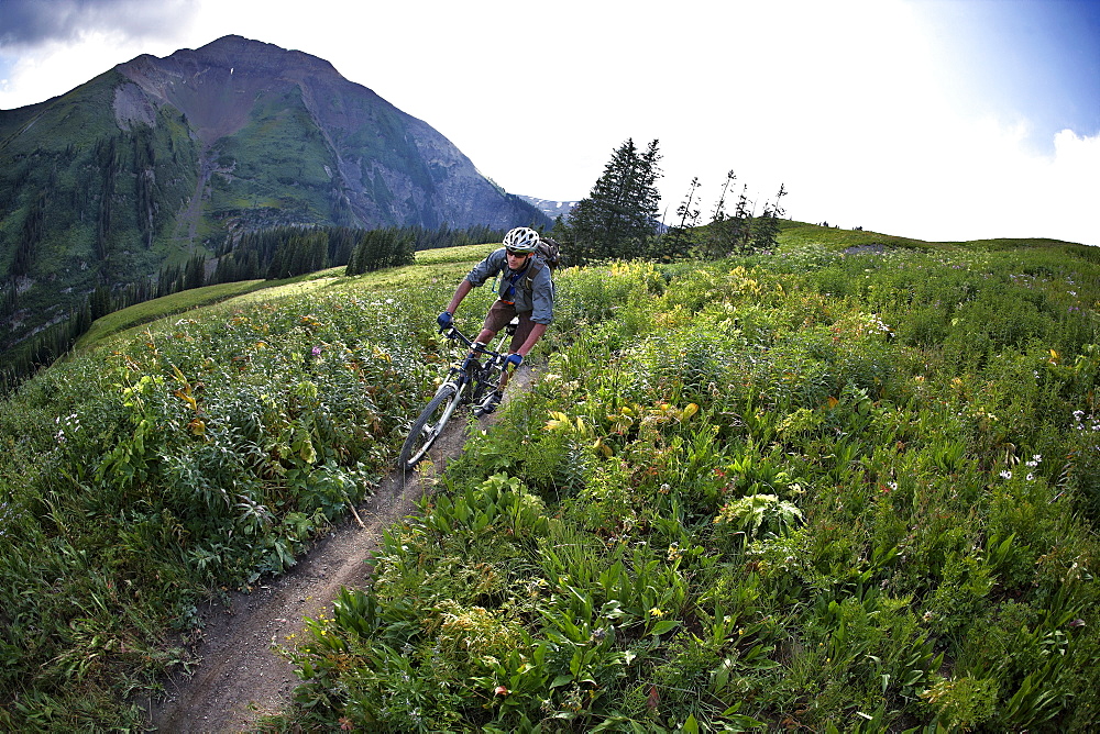 Man mountain biking on trail