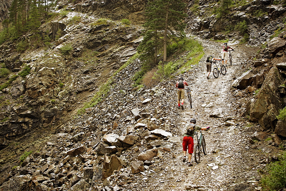 Mountain bikers pushing bikes up hill