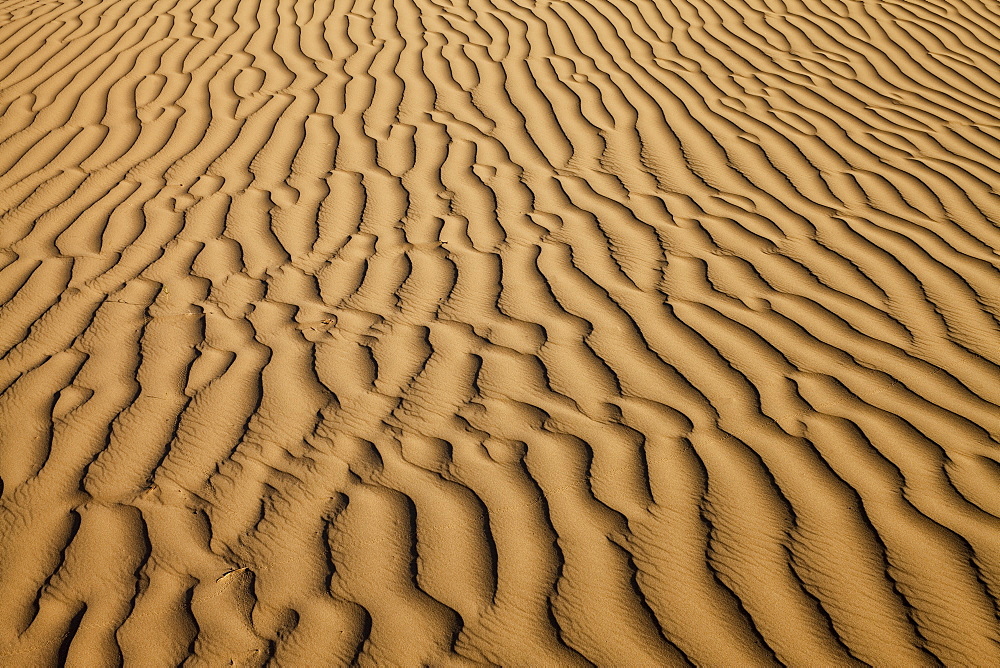 Sand dune