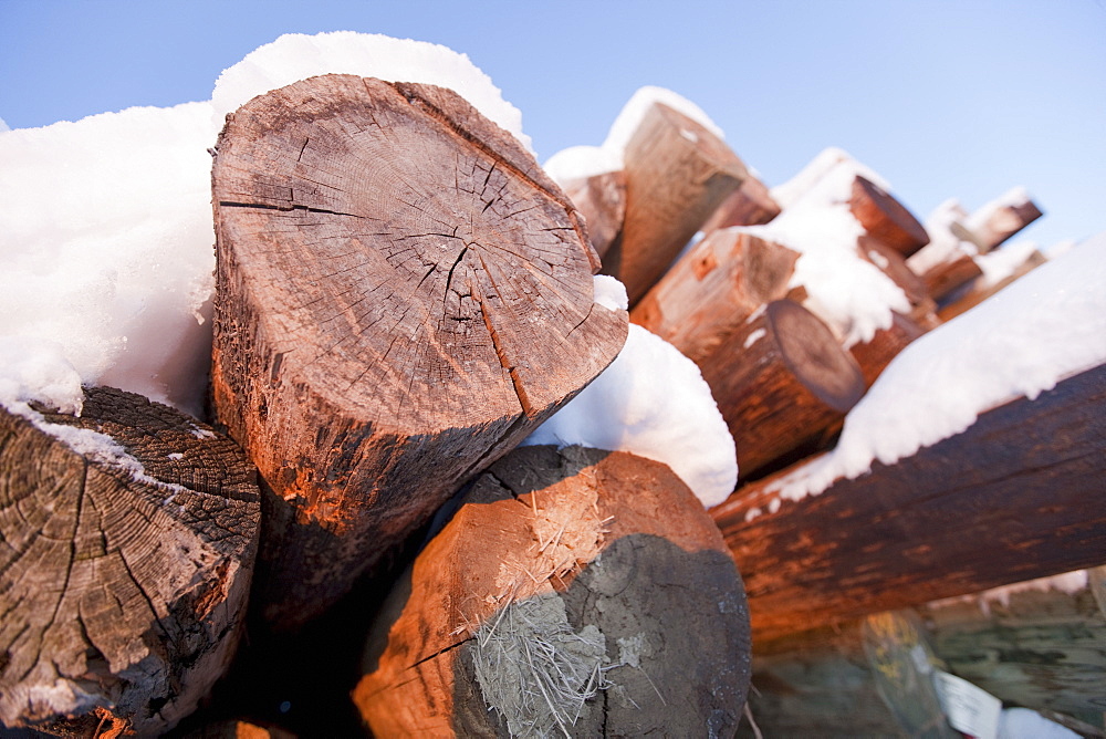 Pile of logs covered in snow