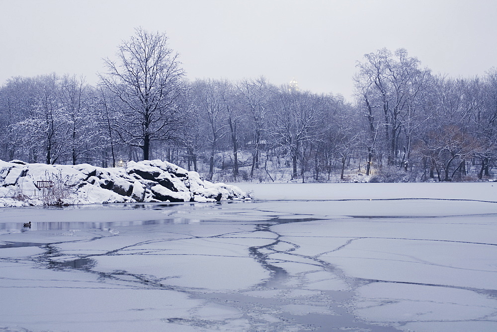 Central Park in winter