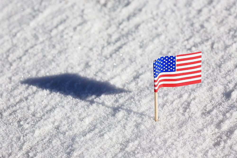 American flag in the snow