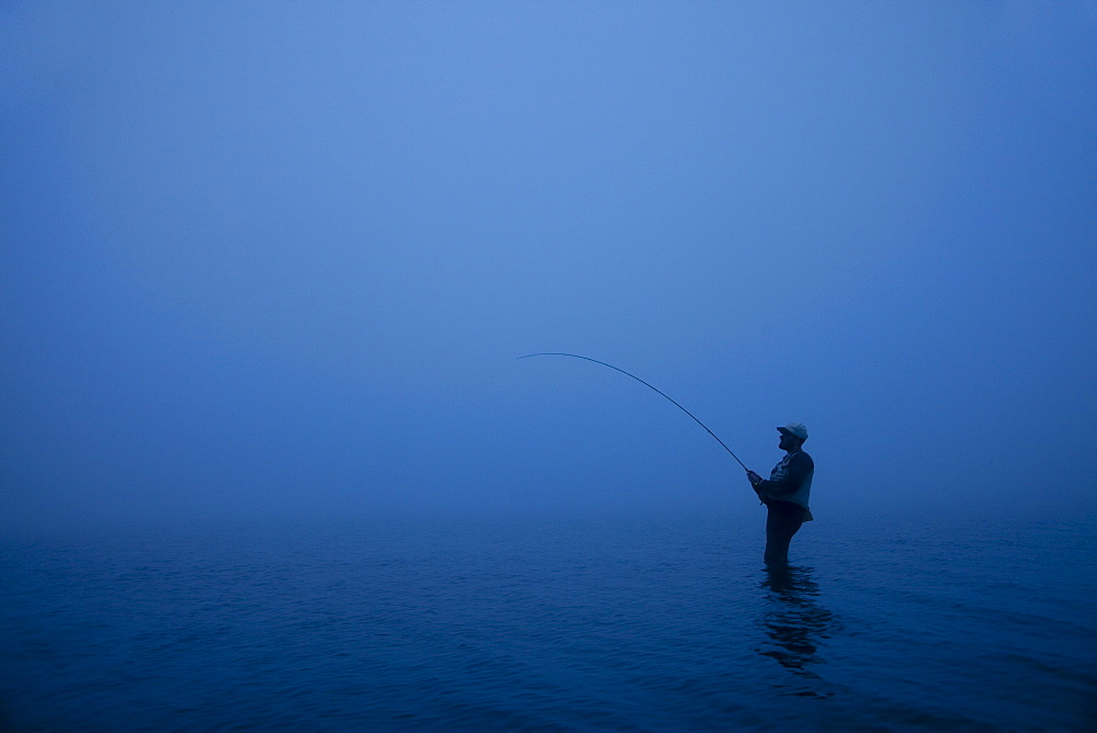 Fly fisherman