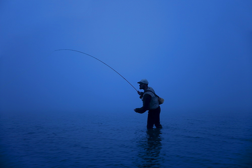 Fly fisherman